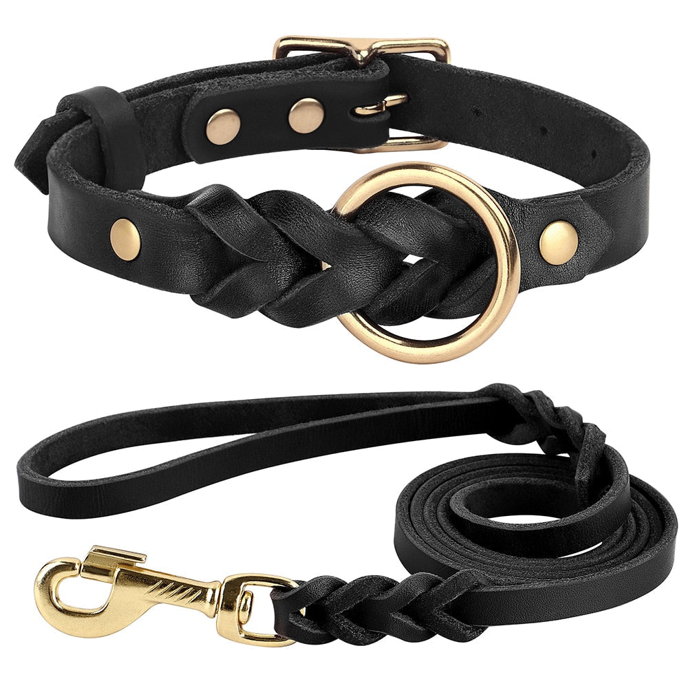 Dog Collar and Leash Set - Beach Fun Forever