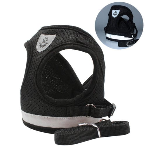 CozyCat Pet Harness and Leash - Beach Fun Forever