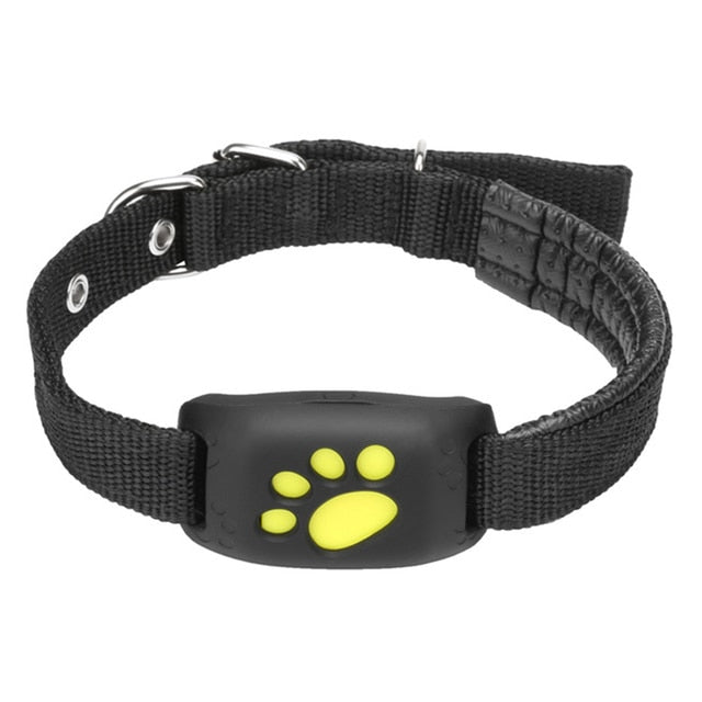 Pet GPS Tracker Collar - Beach Fun Forever