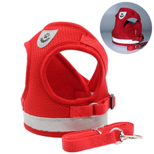 CozyCat Pet Harness and Leash - Beach Fun Forever