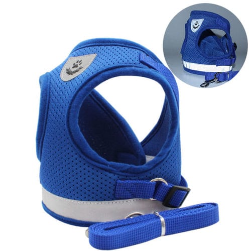 CozyCat Pet Harness and Leash - Beach Fun Forever