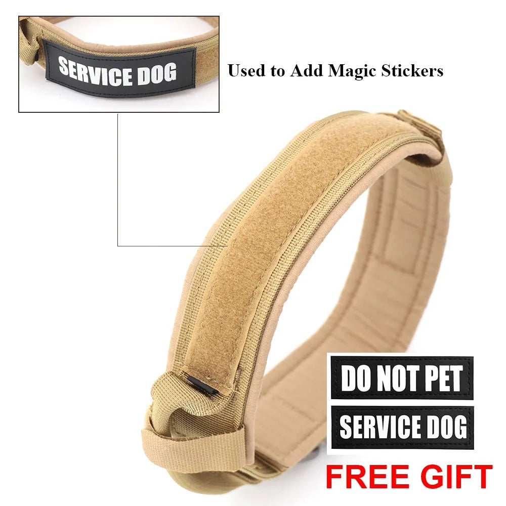 Dog Collar - Beach Fun Forever