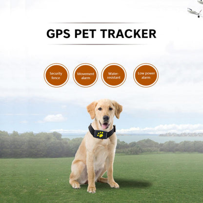 Pet GPS Tracker Collar - Beach Fun Forever