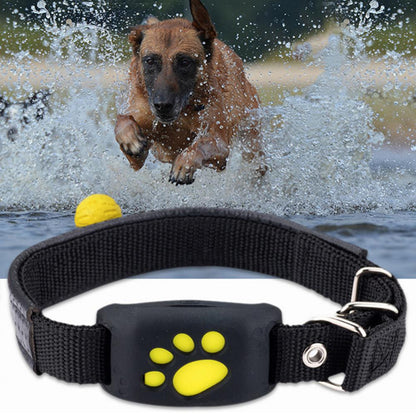 Pet GPS Tracker Collar - Beach Fun Forever