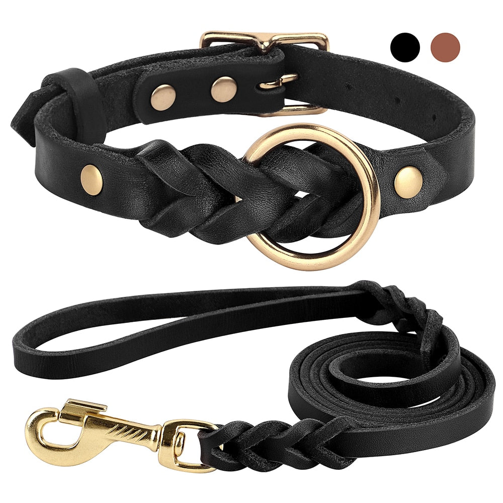 Dog Collar and Leash Set - Beach Fun Forever