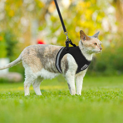 CozyCat Pet Harness and Leash - Beach Fun Forever