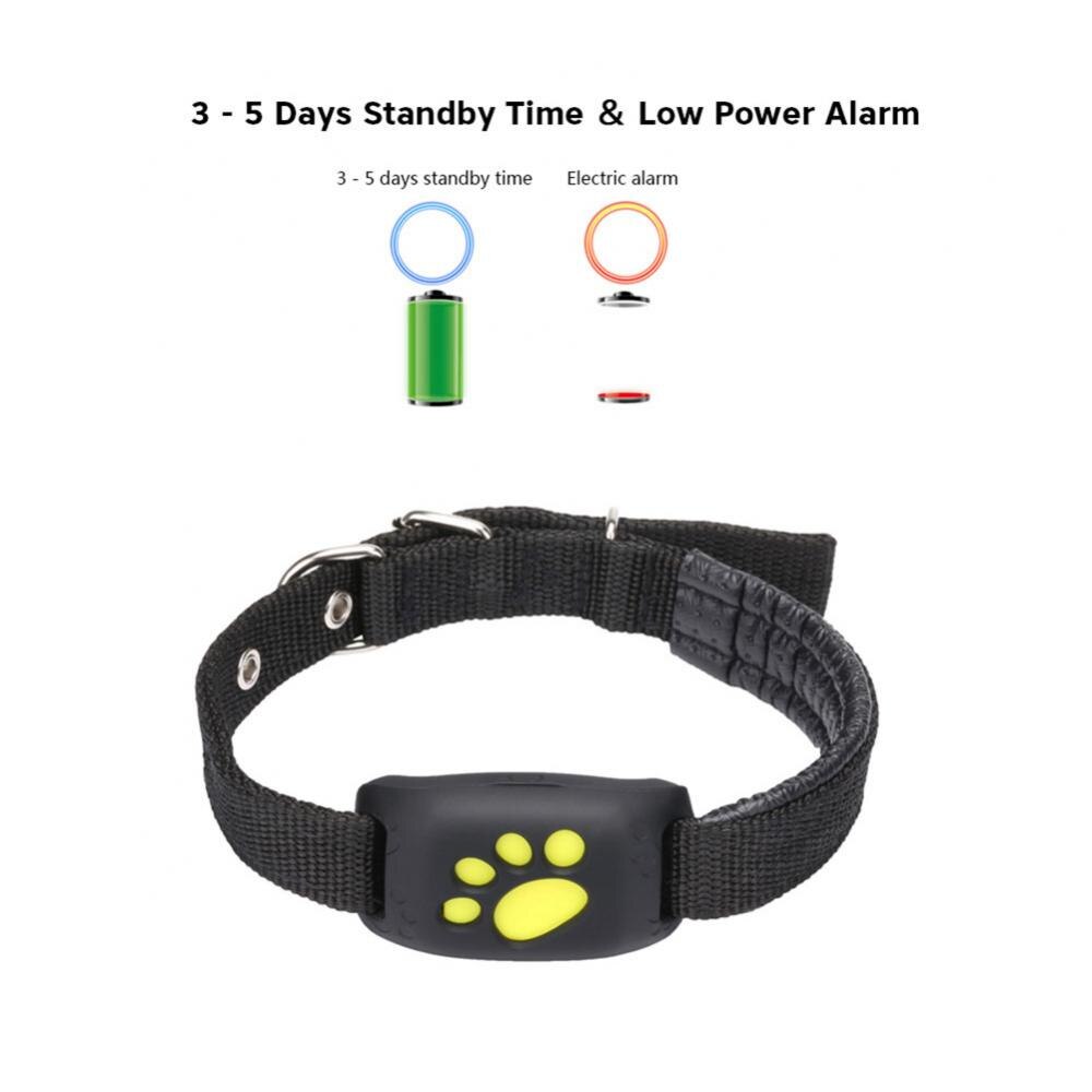 Pet GPS Tracker Collar - Beach Fun Forever