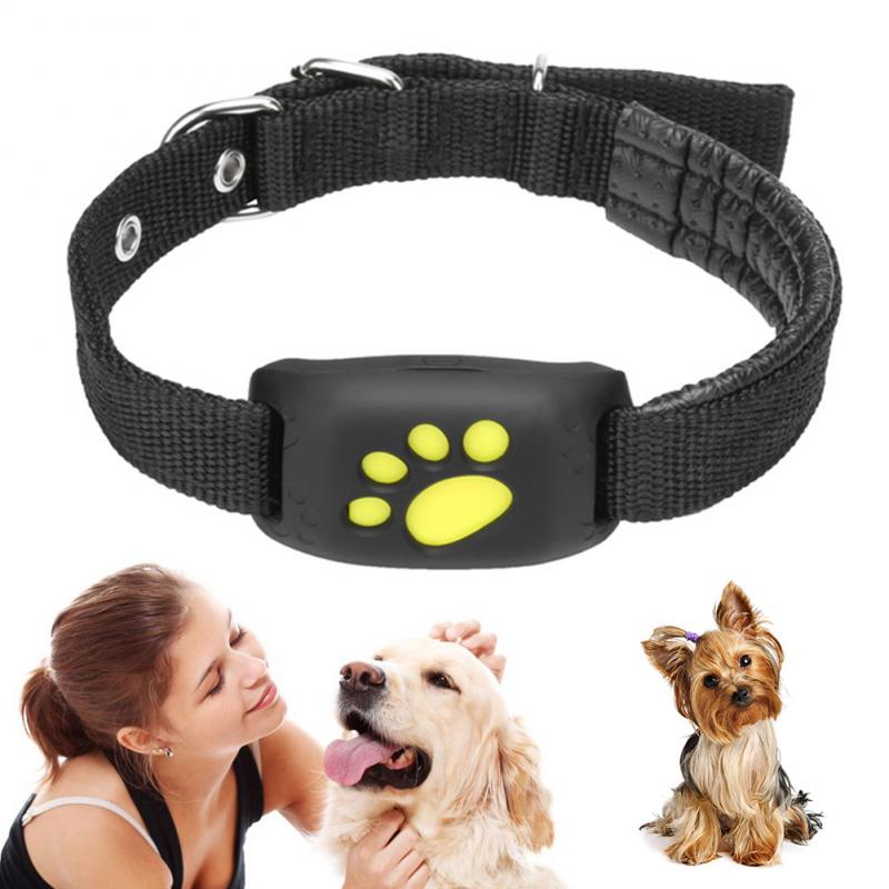 Pet GPS Tracker Collar - Beach Fun Forever