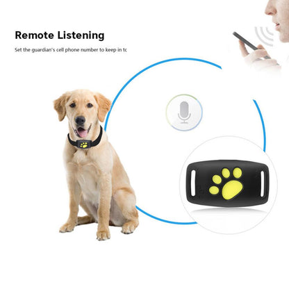 Pet GPS Tracker Collar - Beach Fun Forever