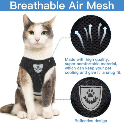 CozyCat Pet Harness and Leash - Beach Fun Forever