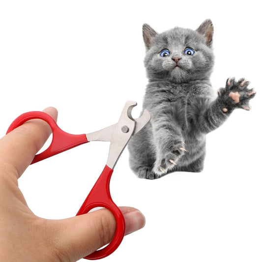 Pet Nail Clippers - Beach Fun Forever