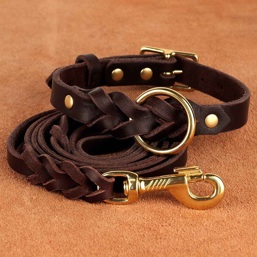 Dog Collar and Leash Set - Beach Fun Forever