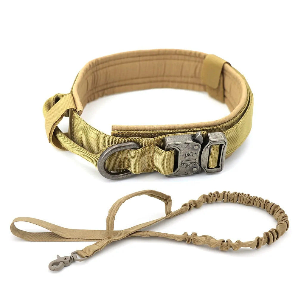 Dog Collar - Beach Fun Forever