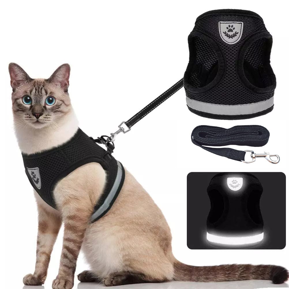 CozyCat Pet Harness and Leash - Beach Fun Forever