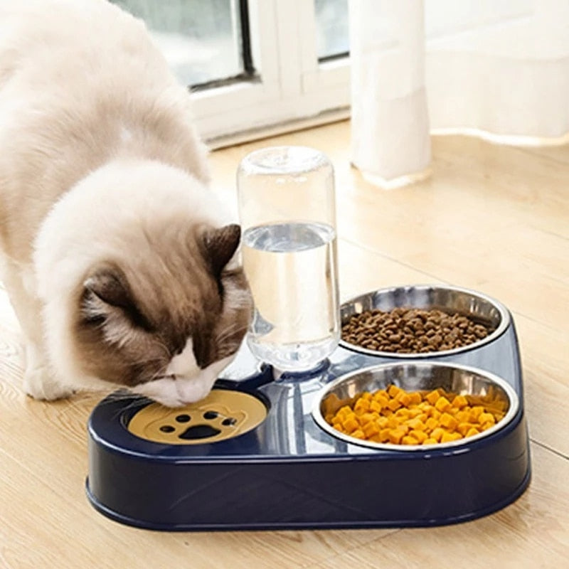 Cat food dispenser - Beach Fun Forever