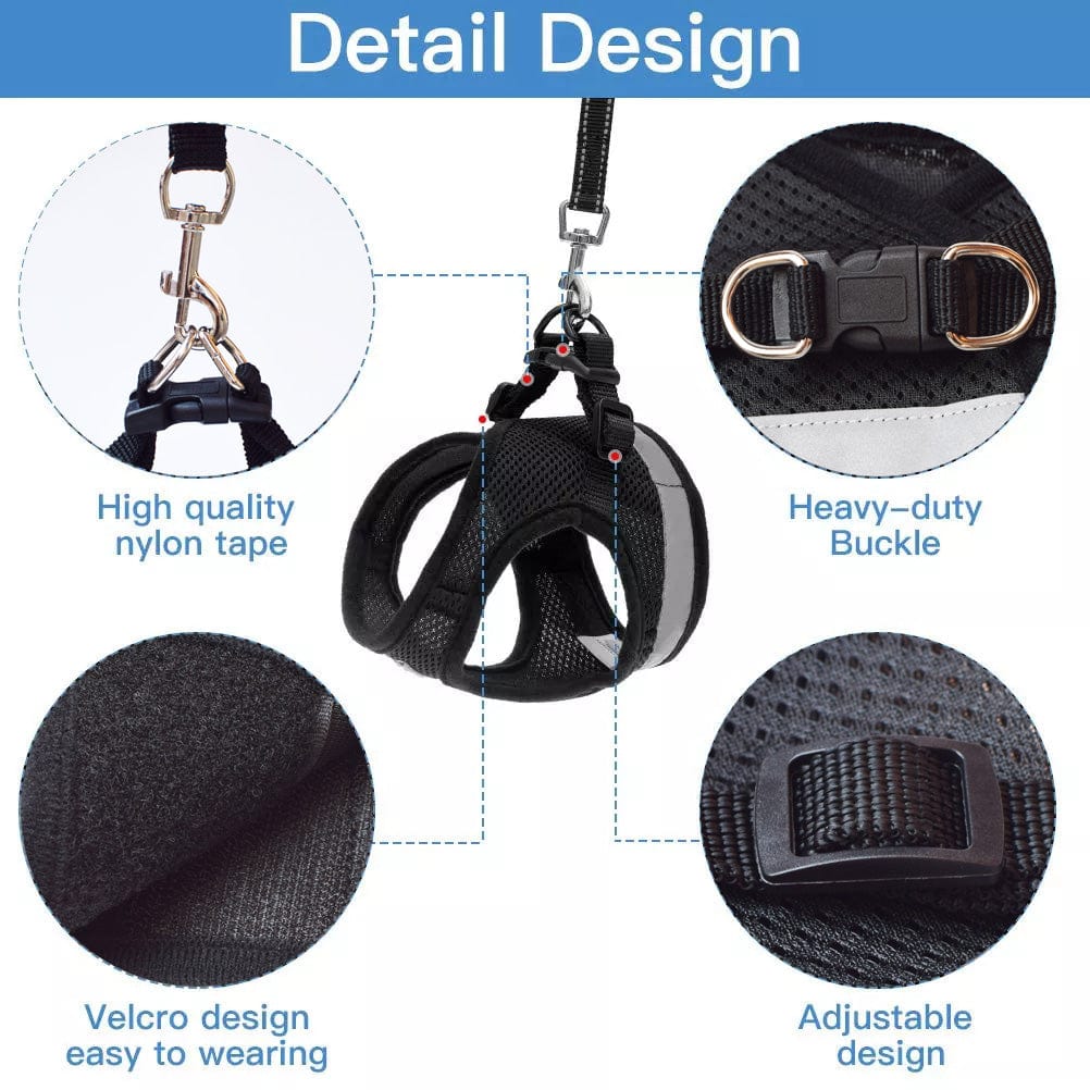 CozyCat Pet Harness and Leash - Beach Fun Forever